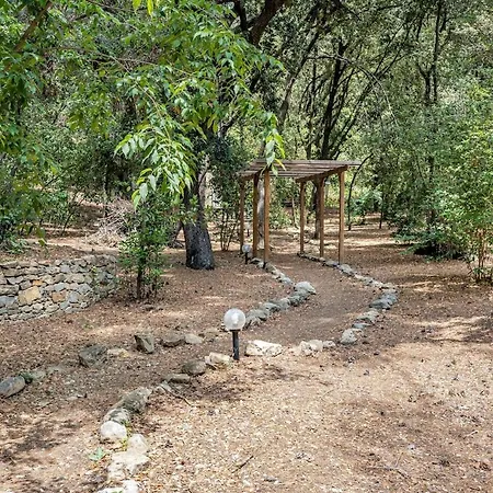 Willa Bastide Provencale Et Ses Dependances A 5 Kms De La Ceyreste