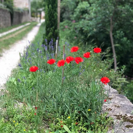 Вилла Bastide Provencale Et Ses Dependances A 5 Kms De La Ceyreste